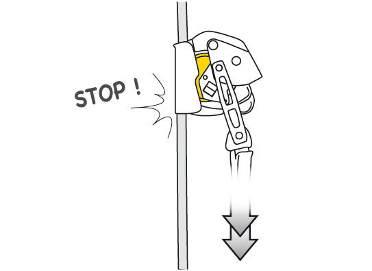 Petzl ASAP Lock Mobile Fall-Arrest Device