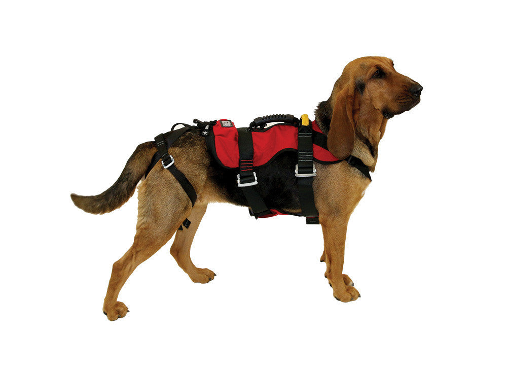 CMC K9 Rappel Harness