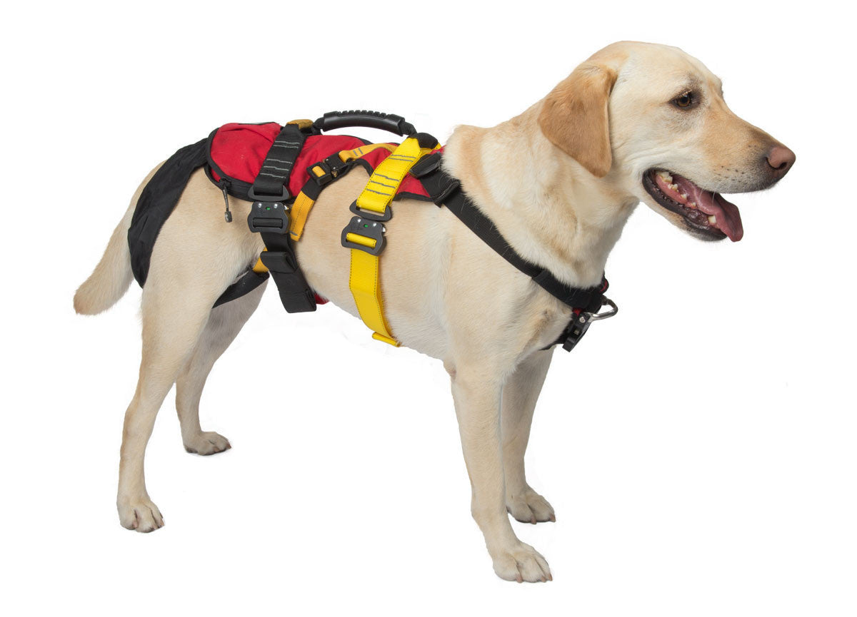 CMC K9 LifeSaver Harness