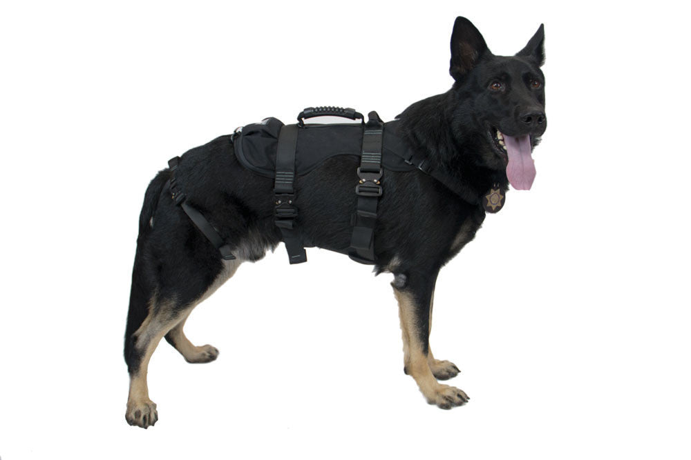 CMC K9 ProSeries Rappel Harness