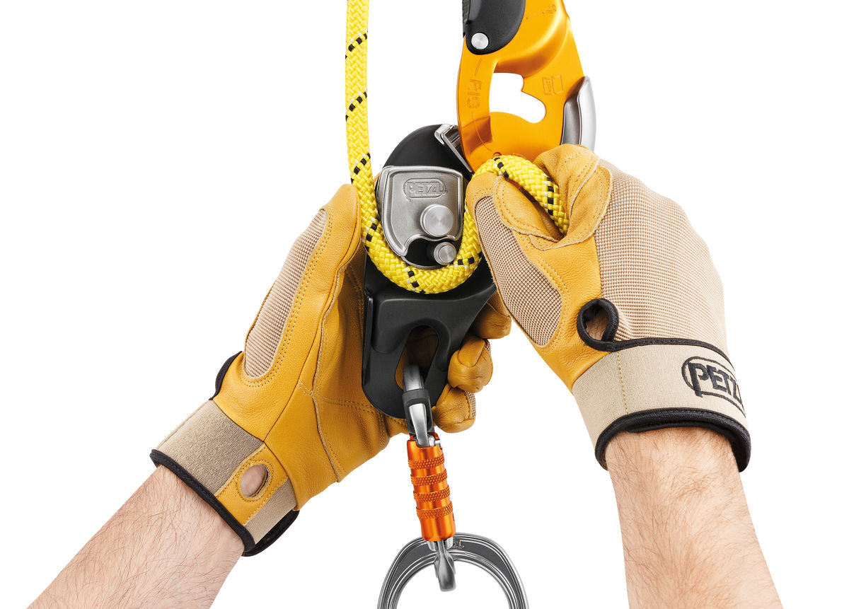 Petzl RIG Descender
