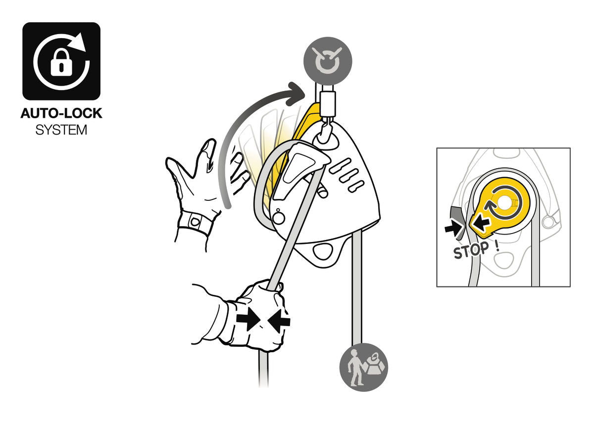 Petzl MAESTRO L Descender