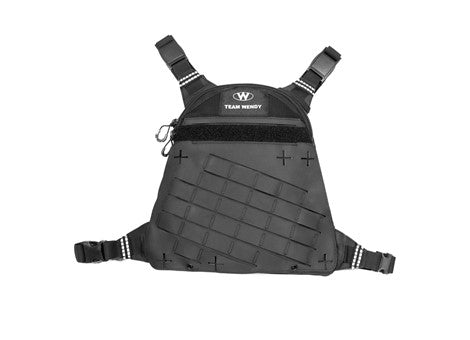 Team Wendy Radio Rig System